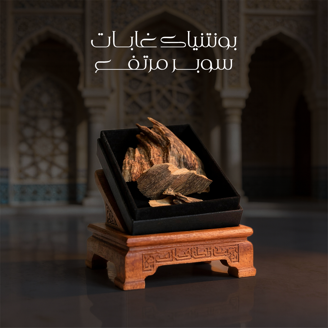 خشب عود بونتياك غابات