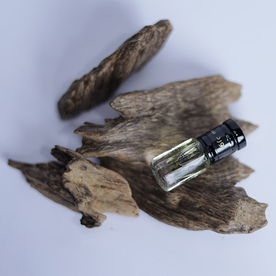 A Brief Research Study About The Agarwood Tree